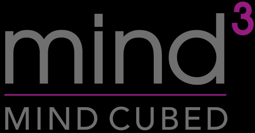 Bespoke Psychometric: Mind³/TeamUp Case Study